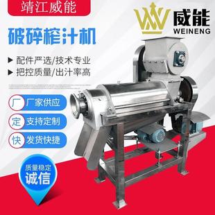厂家直销大型工业商用苹果生姜菠萝菠菜哈密瓜破碎榨汁组