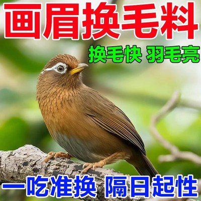 画眉专用饲料换毛营养鸟食快速壮膘换羽靓羽养身提性促助斗唱鸟粮