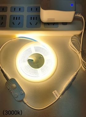 12v悬浮牀人体感应COB灯带插电使用高常亮无光斑自粘灯条可调亮度