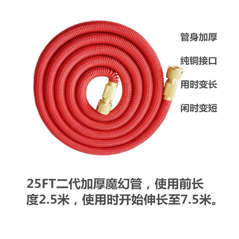 自吸双泵魔术伸缩管家用高压12V电动洗车器微型水泵清洗车机水枪