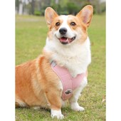 韩国背心式 网红狗狗牵引绳中型犬柯基柴犬法斗胸背带泰迪小狗遛狗