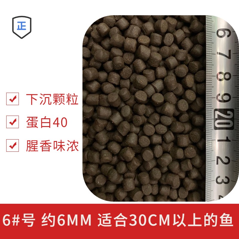 鲟鱼虎头鲨蓝鲨饲料下沉底栖不浑观赏鱼饲料