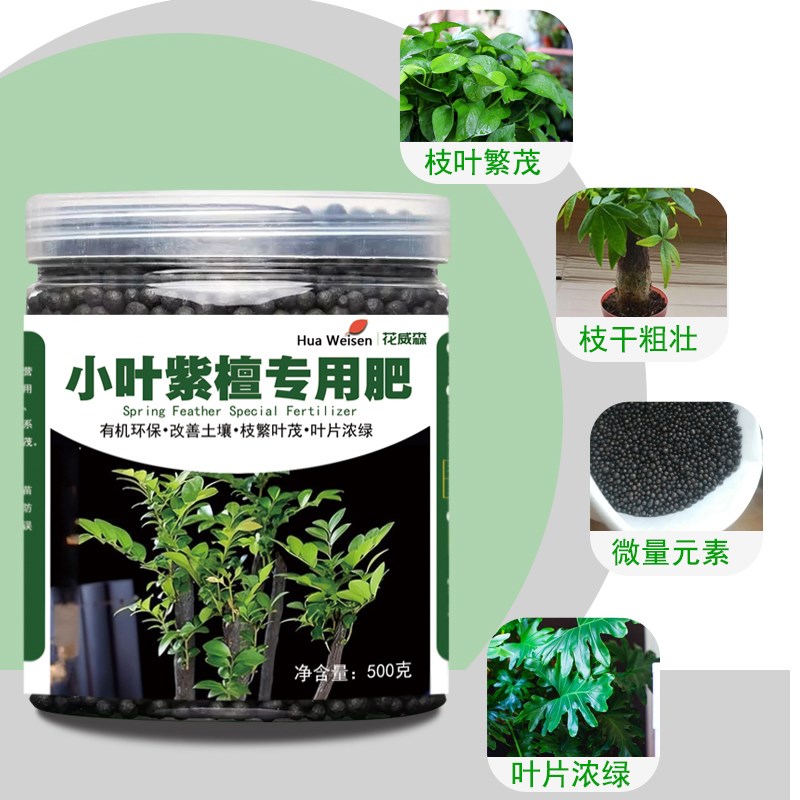 小叶紫檀肥料专用肥老桩树苗肥黑骨茶紫檀青檀营养液赤楠盆栽盆景
