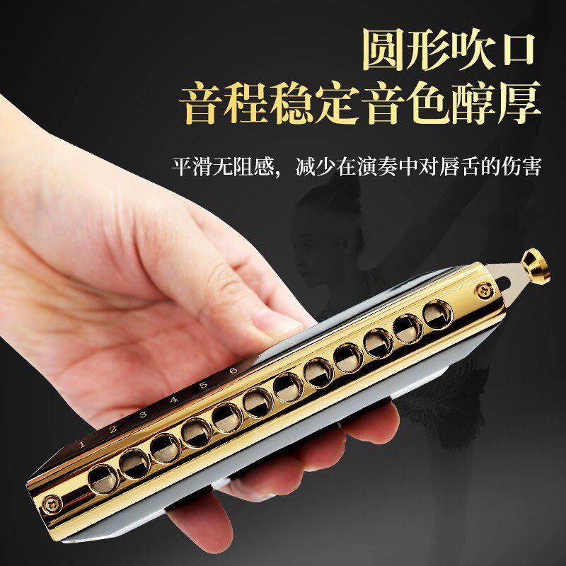 国光半音阶口琴12孔16孔C调成人专业演奏级国之梦学生初学者入门