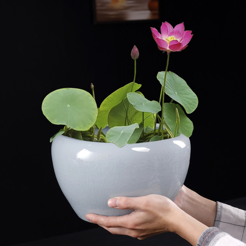 哥窑水培绿植陶瓷花盆碗莲睡莲荷花大口径专用盆缸无孔阳台一叶莲,鲜花速递/花卉仿真/绿植园艺,花盆,淘宝优惠券,粉丝福利购,淘宝优惠卷