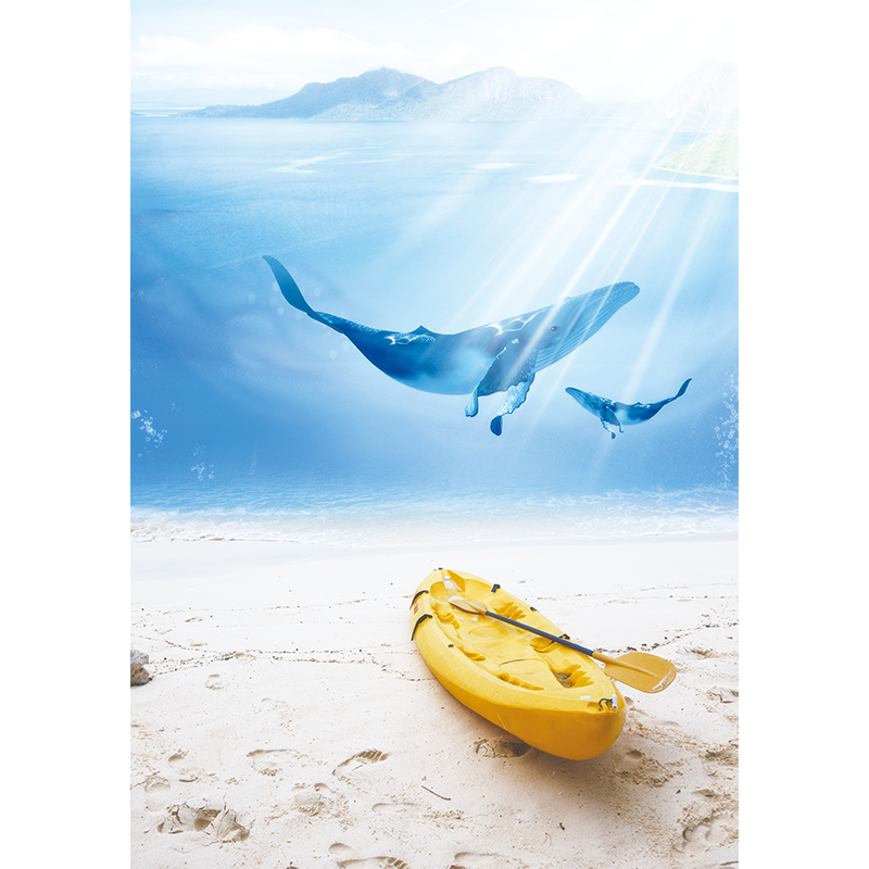 阳台遮光窗户磨砂贴纸窗台卧室透光不透明浴室客厅卫生间玻璃贴膜