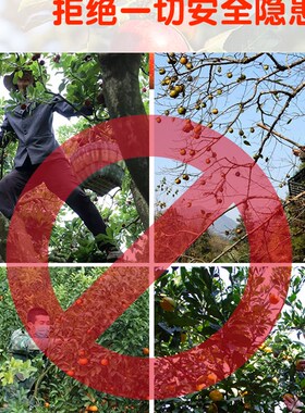 摘果神器高空摘果剪修枝果树剪刀摘果剪高枝锯龙眼剪伸缩桂圆荔枝