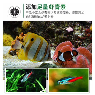 10袋包邮保拿仕薄片鱼粮灯科鱼火炬鱼孔雀鱼宝莲灯小型热带鱼饲料