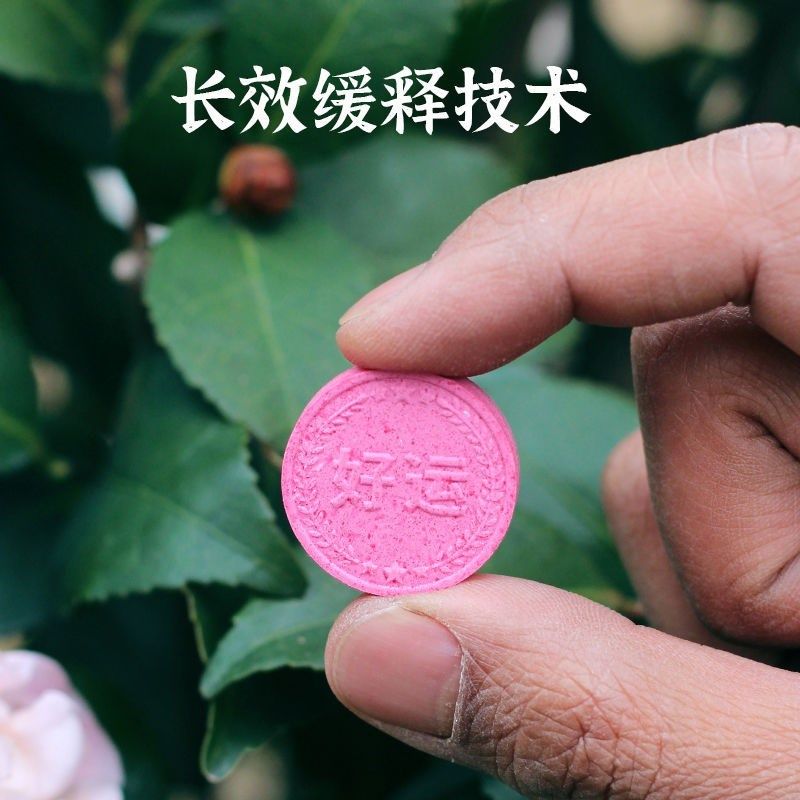 浇好运缓释片家庭园艺肥料通用型氮磷钾多肉盆栽有机花卉缓释肥,鲜花速递/花卉仿真/绿植园艺,家庭园艺肥料,淘宝优惠券,粉丝福利购,淘宝优惠卷