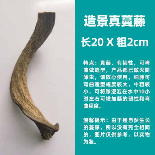 爬宠真树藤蔓藤造景装饰植物雨林缸玻璃缸树蛙蛇乌龟饲养盒造景木