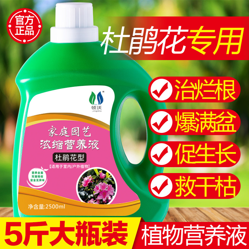 杜鹃花专用肥营养液花肥料家用盆栽花卉通用型养花酸性植物叶面肥,鲜花速递/花卉仿真/绿植园艺,家庭园艺肥料,淘宝优惠券,粉丝福利购,淘宝优惠卷