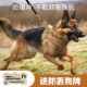狗狗牵引绳中型大型犬遛狗绳狗链子边牧金毛大狗防爆冲刻字胸背带