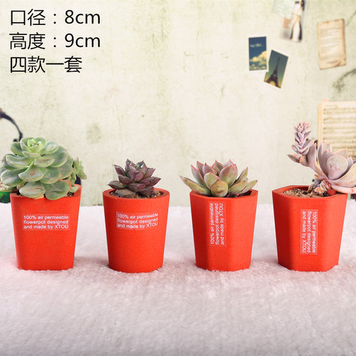 老盆友透气花盆0809会呼吸的XTOU多孔陶瓷小清新多肉度夏黑腐新奇