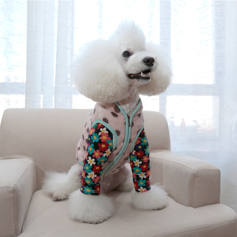 宝眷秋冬狗狗打底衫衣服新年衣服猫咪卫衣保暖可爱休闲百搭泰迪