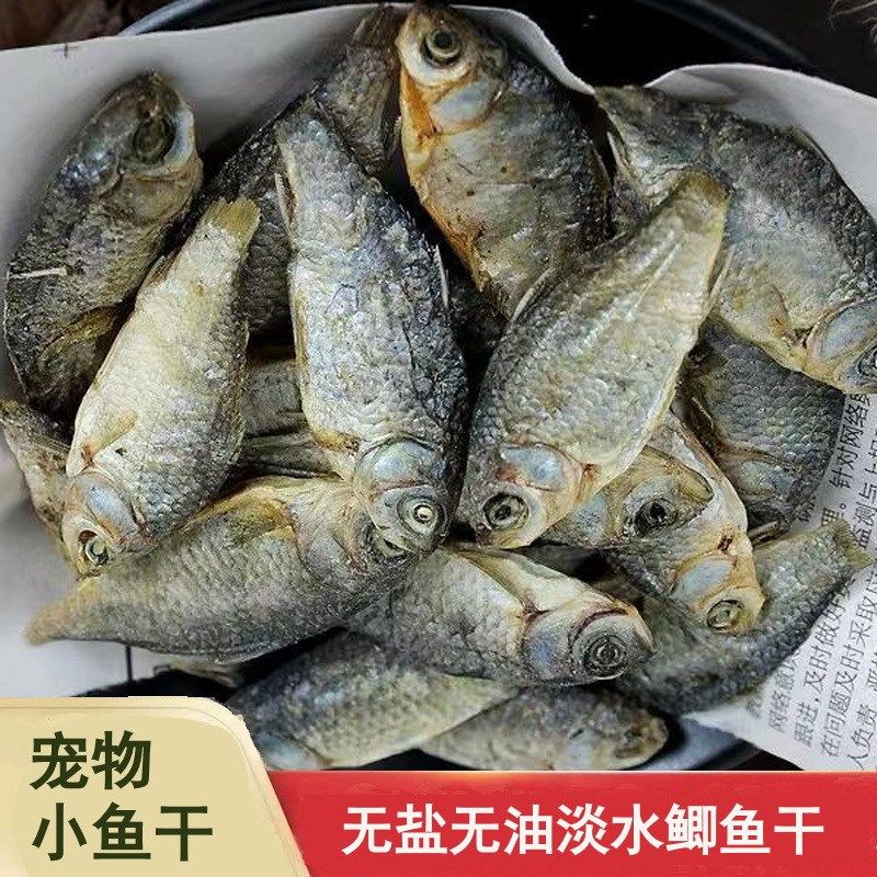 宠物零食小鱼干淡水无盐无油小鲫鱼干猫咪零食猫吃鱼干小乌龟粮食,宠物/宠物食品及用品,猫风干零食/肉干/鱼干,淘宝优惠券,粉丝福利购,淘宝优惠卷