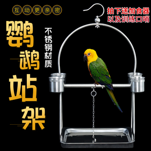 不锈钢站架虎皮牡丹玄凤鸟架伯劳站笼栖息架脚链环
