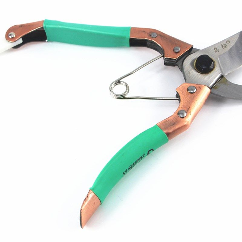 花艺修枝剪果树剪刀整枝粗枝园艺树枝剪家用花木水果嫁接采摘工具,鲜花速递/花卉仿真/绿植园艺,剪刀,淘宝优惠券,粉丝福利购,淘宝优惠卷