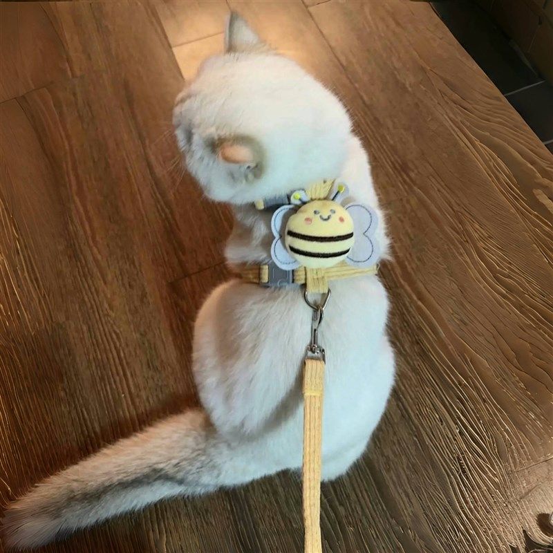 猫咪牵引绳防挣脱外出专用小型犬泰迪比熊胸背带绳子可调节溜猫绳,宠物/宠物食品及用品,猫牵引绳,淘宝优惠券,粉丝福利购,淘宝优惠卷