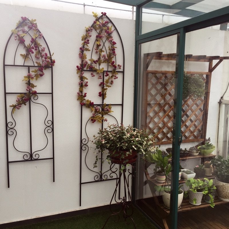 包邮铁制可拆式欧式屏风 铁线莲月季 花架 植物爬藤花架,鲜花速递/花卉仿真/绿植园艺,花架,淘宝优惠券,粉丝福利购,淘宝优惠卷