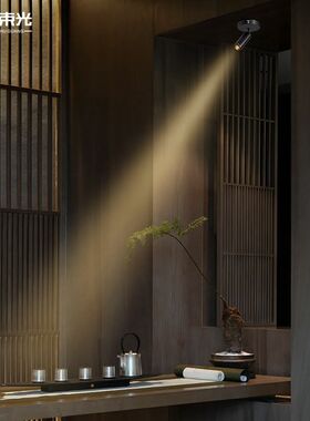 一束光聚光射灯智能明装客厅家用茶室摆件绿植字画餐厅玄关吸顶灯
