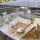 仓鼠笼子专用47基础笼 金丝熊便宜大笼子大豪华别墅饲养用品大全