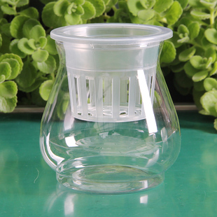 绿萝水培花盆透明塑料口径110MM可土培水养植物带定植篮摔不破