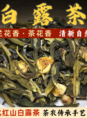 仁化红山白露茶白毛茶绿茶兰花香茶叶白露时节采摘茶农直供茶花香