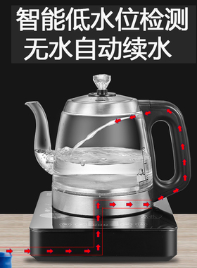 小型手把上水煮茶壶黑茶壶煮茶器家用全自动蒸汽喷淋式玻璃养生壶