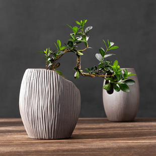 紫砂花盆福建茶绿植盆室内六月雪盆景专用小榕树个性缺口盆带底座