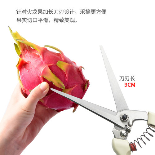火龙果摘果剪刀葡萄蔬果枸杞花椒水果采摘园艺剪花卉修枝稀果剪刀