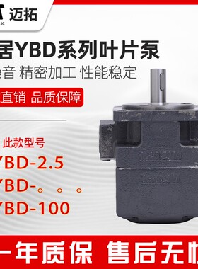 YBD-100仙居永灵叶片泵YBD-2.5/4/6/10/16/20/25/32/63/80/125正