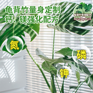 龟背芋营养液免稀释喷施叶面肥水培龟背芋专用肥锈斑病黄叶液体肥