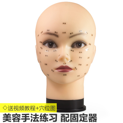 美容院美容头模练习洗脸按摩穴位模特头假人头模型公仔教习头光头