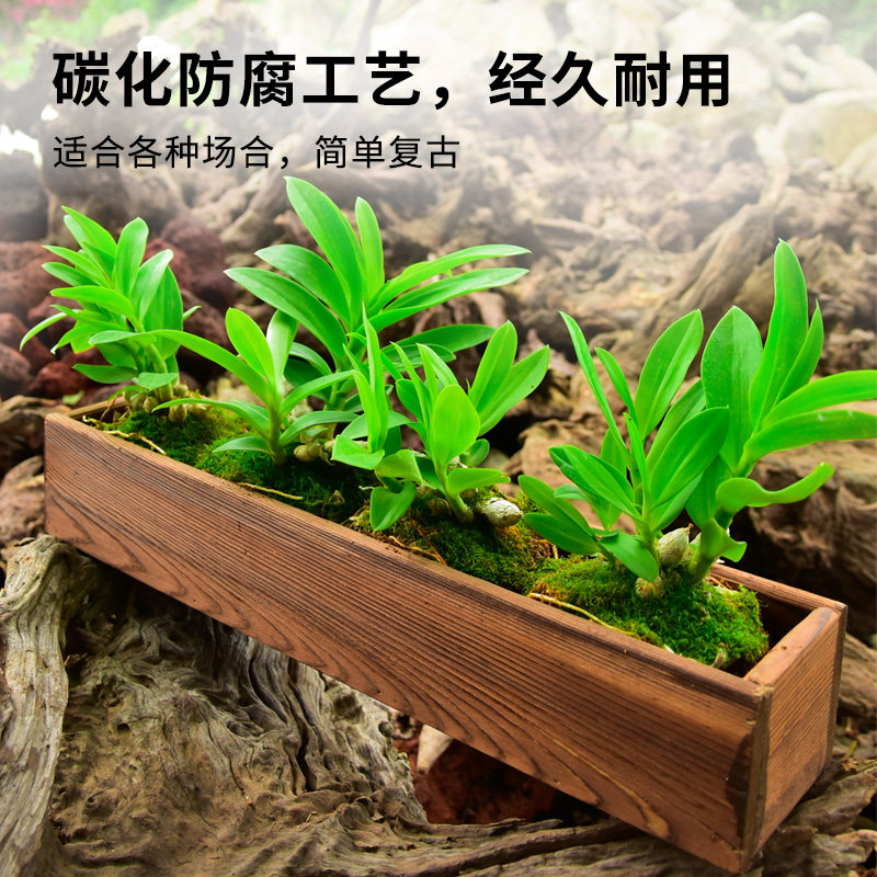 防腐木花箱长方形户外园艺多肉种菜碳化实木花盆室内阳台种植花槽,鲜花速递/花卉仿真/绿植园艺,花盆,淘宝优惠券,粉丝福利购,淘宝优惠卷