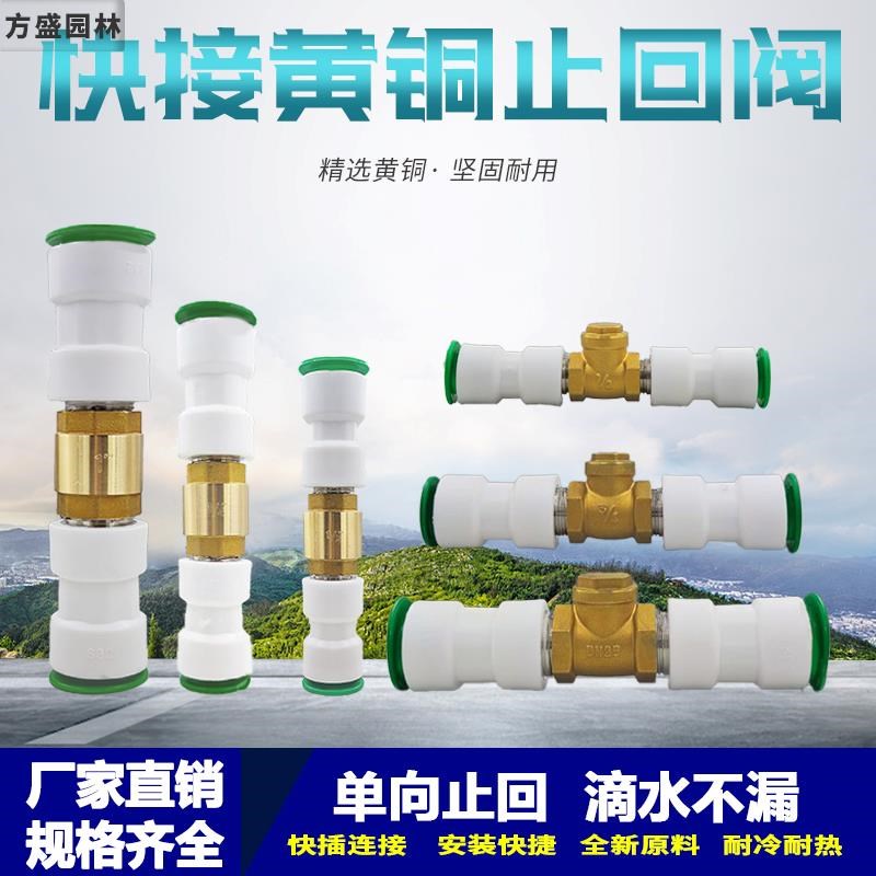 ppr快接止回阀PE单向阀20快插25快速接头免热熔止回阀防水倒流阀图片