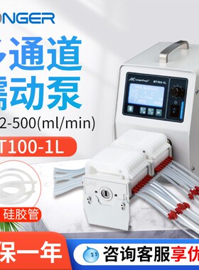 保定兰格BT100-1L大流量多通道蠕动泵实验室工业蠕动泵泵头配件