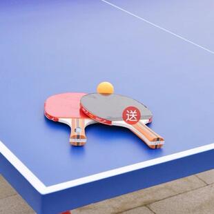 双飞胜室内乒乓球桌家用折叠标准兵乓球台家庭兵兵桌比赛球桌案子