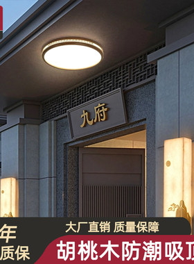 新中式大门口吸顶灯别墅入户灯门厅灯大门顶灯门楼庭院阳台照明灯