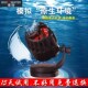博特变频造浪泵超静音鱼缸冲浪泵淡海水24V直流大功率吹粪造流泵