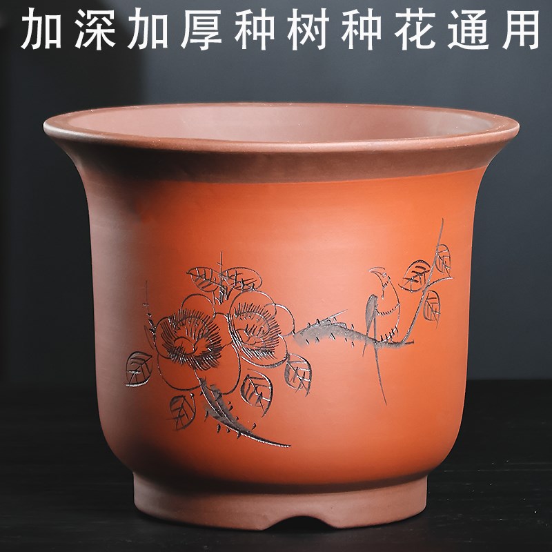 宜兴紫砂花盆兰花君子兰专用花盆陶瓷花盆大口径种树加高紫砂花盆