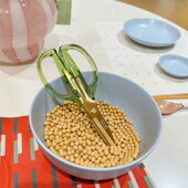 透明亚克力手柄厨房剪刀不锈钢家用多功能海鲜剪烧烤蔬菜剪食物剪