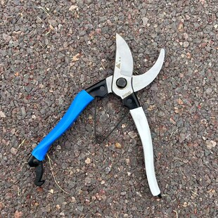 辽宁熊岳三环剪嫁接接穗修枝剪园林剪刀果树剪子花剪包邮修枝剪园