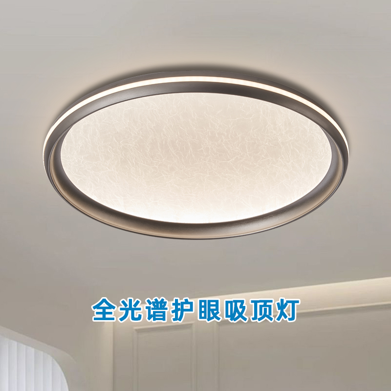 帕莎现代创意卧室吸顶灯高级感意式书房灯全光谱护眼房间吸顶灯