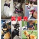 狗狗牵引绳背心式 遛狗绳泰迪柯基法斗中小型犬胸背带狗链子狗背带