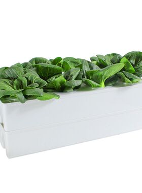 无土栽培黄瓜水培蔬菜家庭室内阳台种菜智能箱自动管道式设备