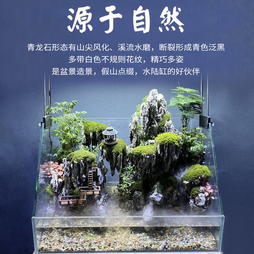 水路缸造景装饰精洗青龙石水族草缸造景石雨林缸水陆缸天然盆景石