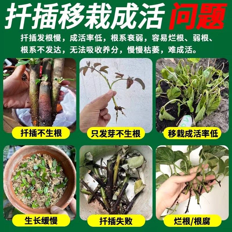 扦插生根液三角梅月季专用快速生根粉强力生根壮苗剂育苗移栽神器,鲜花速递/花卉仿真/绿植园艺,家庭园艺肥料,淘宝优惠券,粉丝福利购,淘宝优惠卷