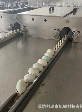 洗排小型多功能鸡ABQ蛋鸭蛋自动清机商用洗机蛋自动上蛋洁蛋清双