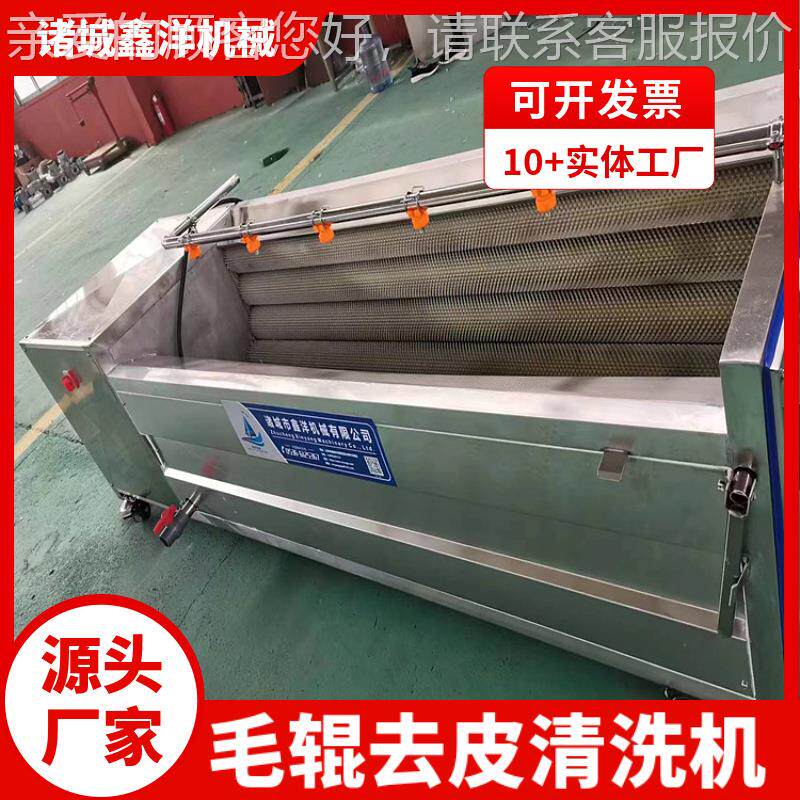 莲藕NBS蔬菜加工毛辊去子皮洗机 根茎类清毛辊清洗设备 海海鲜蛎