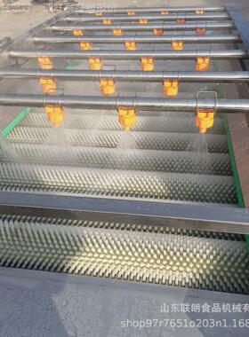 中HPH药材天麻毛辊清洗机沃柑橙洗子平行毛刷清洗机设备姜去大皮